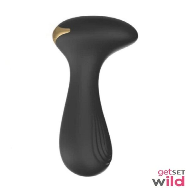 Anal Plug with 10 Vibration Modes